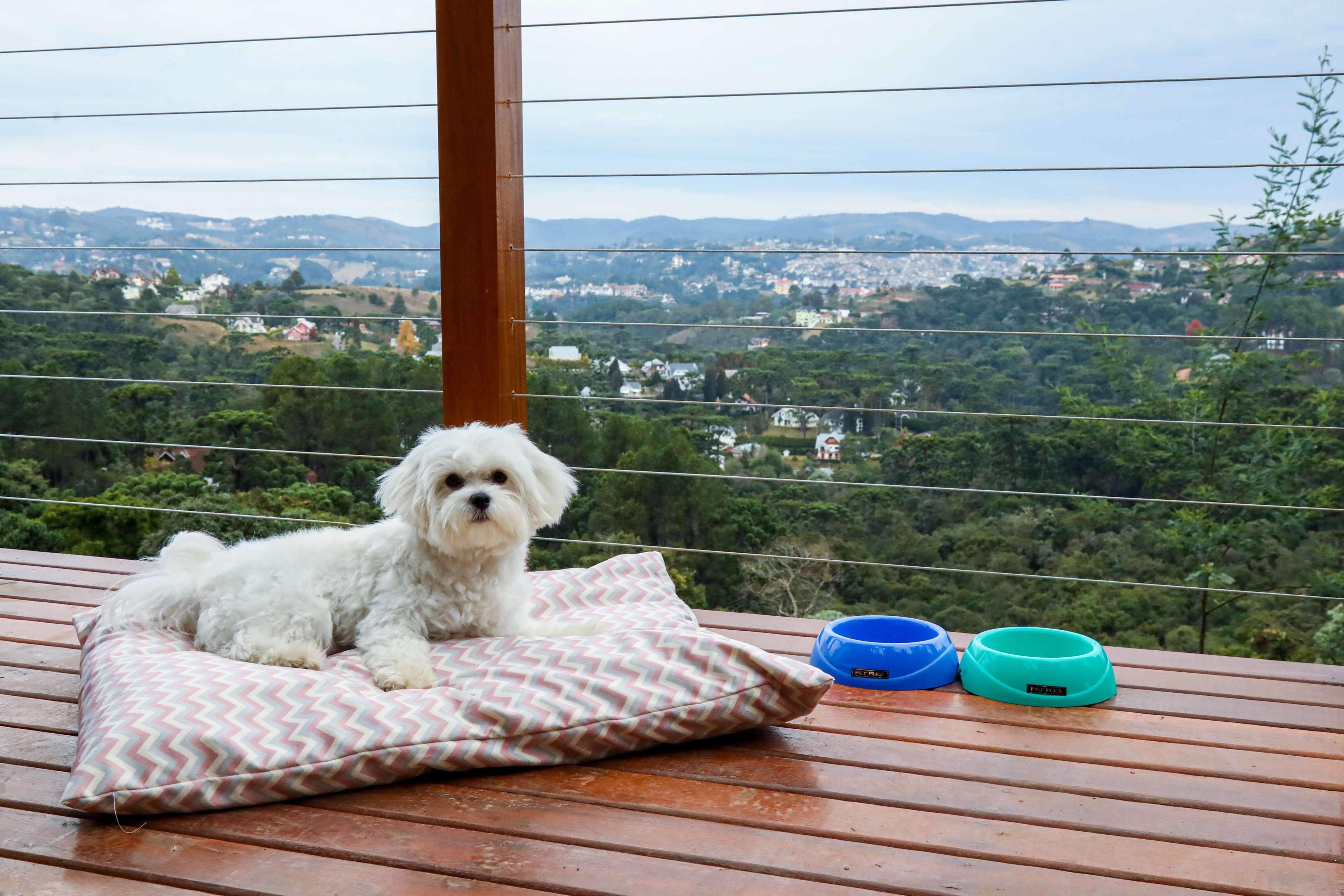 Carpe Diem Boutique E Campos do Jordao